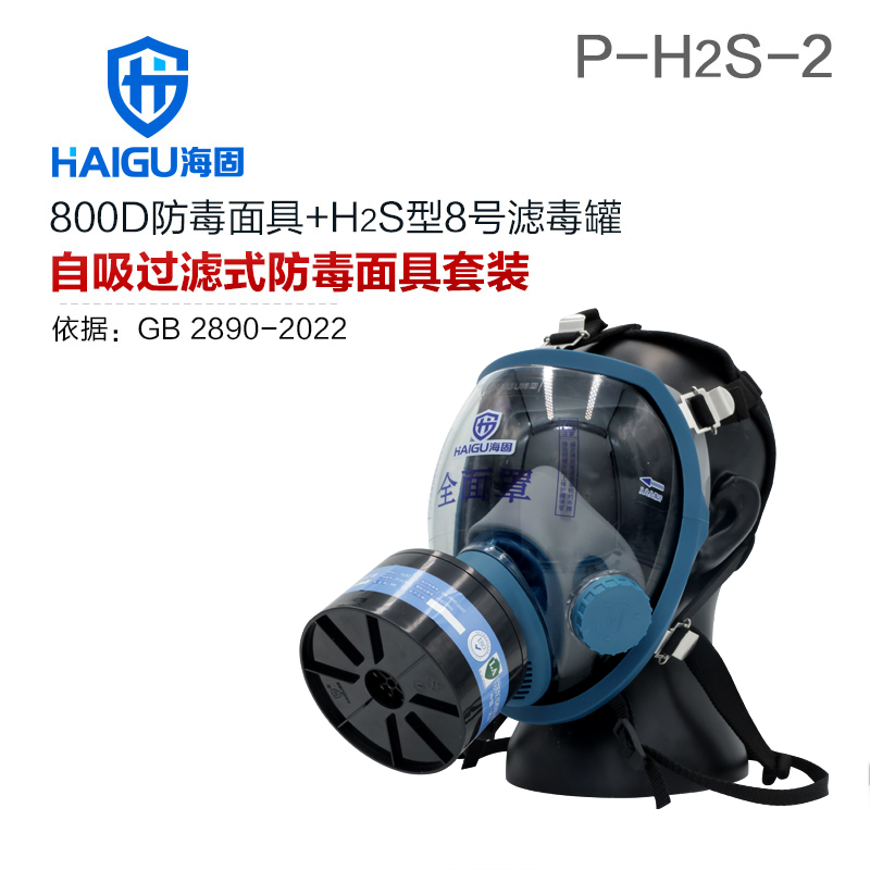 海固800D全面罩+HG-ABS/P-H2S-2濾毒罐 硫化氫氣體防護(hù)套裝