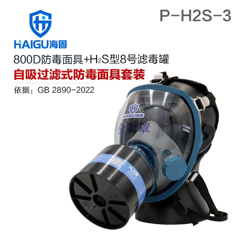 海固800D全面罩+HG-ABS/P-H2S-3濾毒罐 硫化氫防護(hù)套裝
